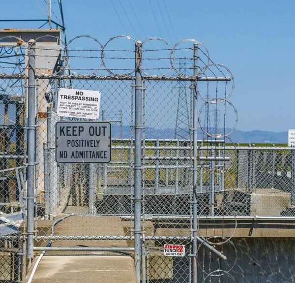 trusted link building services